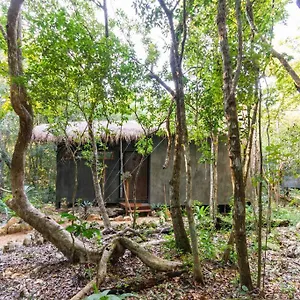 Ojo De Agua. Design+pool. Vive La Autentica Selva! Сasa de vacaciones Tulum